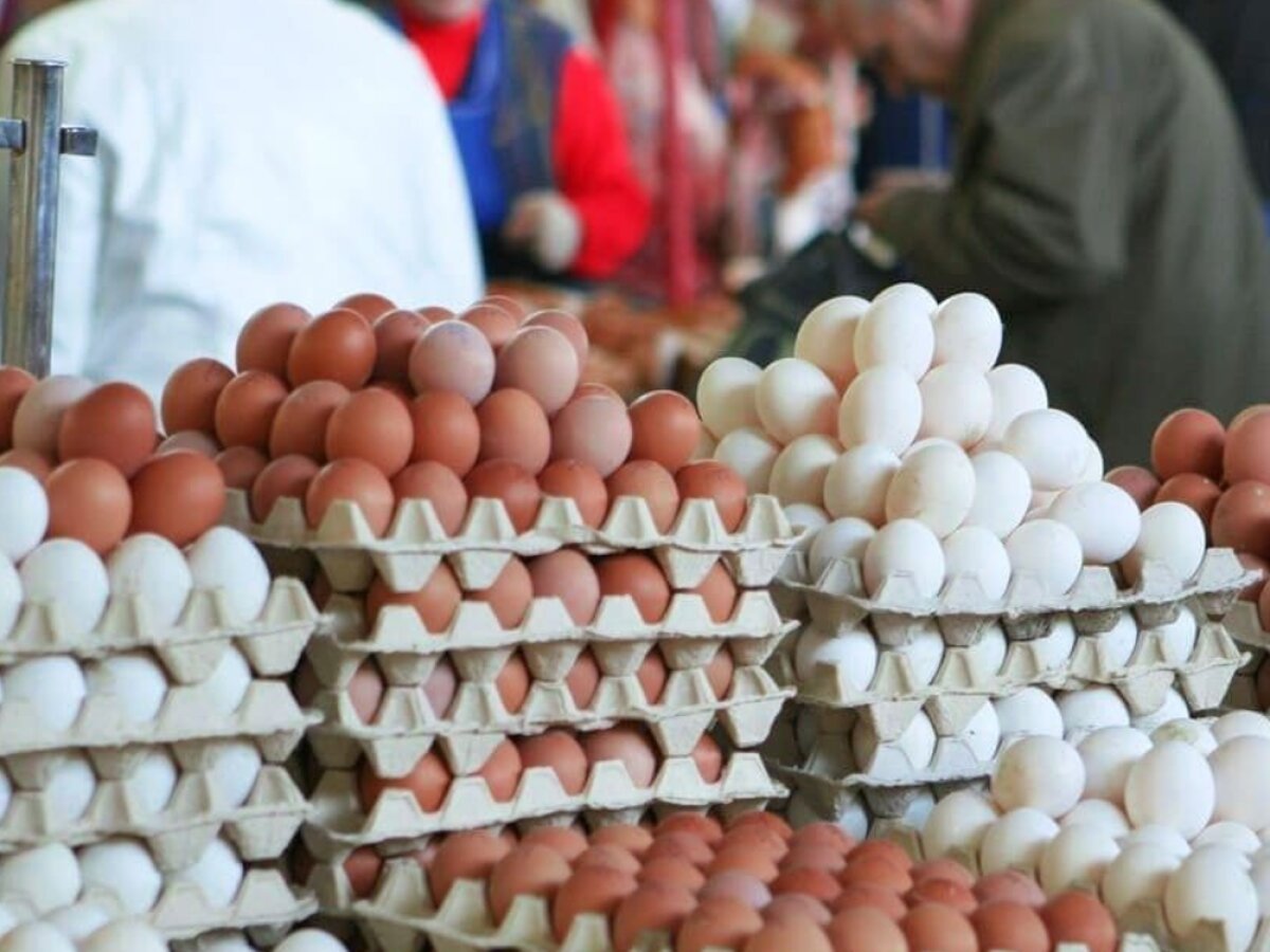 Жінка на базарі продавала домашні яйця. Люди продавали по 4, а вона по 8! Всі їй радять: –Жiнко! Зменш ціну, бо так жодного яйця не продаш. А вона всім відповідала: – Я почекаю…