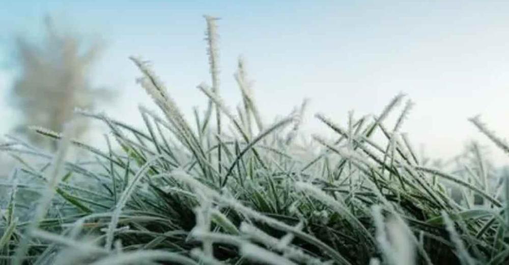 Холод та мокрий сніг: метеоролог попередила частину України про негоду
