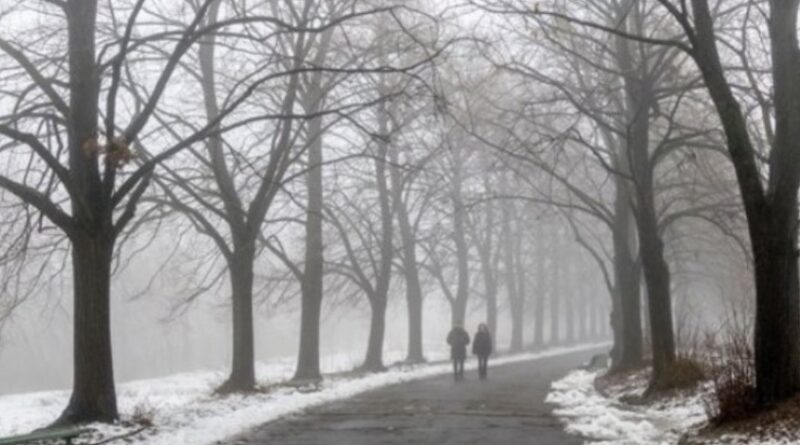 Зима скасовується: аномальне потепління накриє Україну — чого чекати