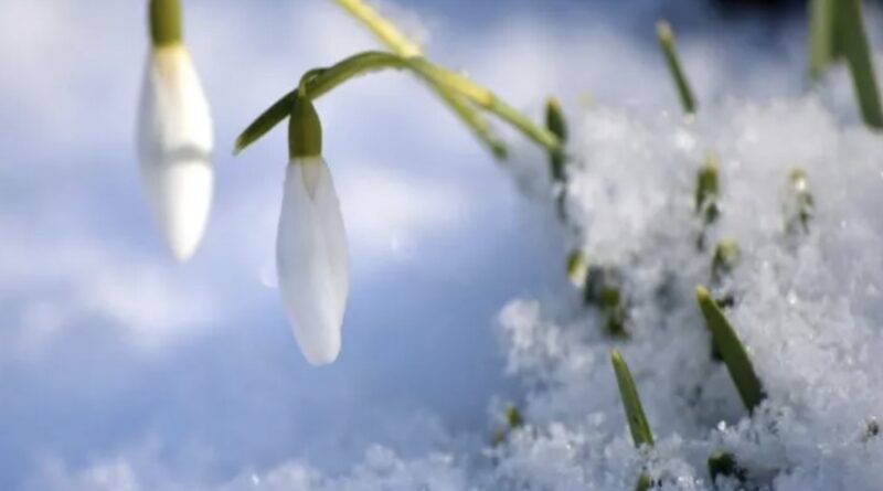 Останні морози перед потеплінням: прогноз погоди на 20 лютого
