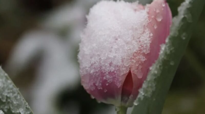 На Україну суне похолодання: синоптикиня попередила, коли очікувати сюрпризів від погоди