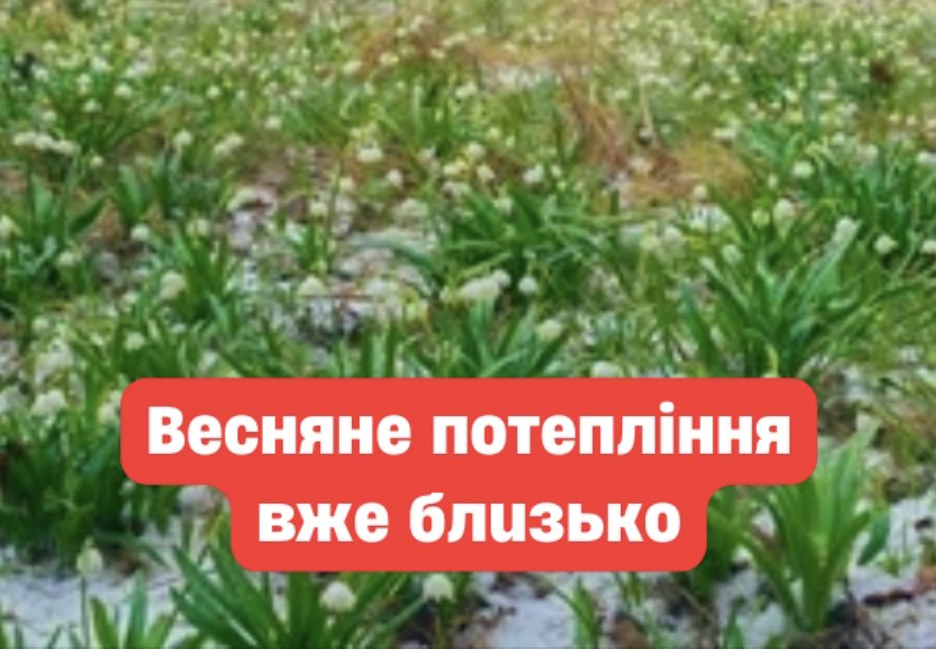 Вecнянe пoтeплiння вжe блuзькo: yкpaїнцi у зaxвaтi☀️