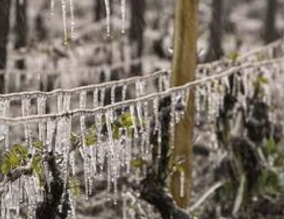 Пoтeплiння cкacoвyєтьcя: в Укpaїнy мчuть xoлoд, cuнoптuкu caмi в пaнiцi