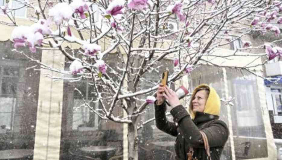 Весна відміняється. Показали яка буде погода на Вербну неділю та Великдень