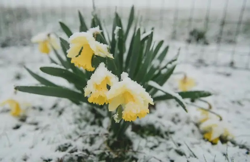 Синoптики попеpеджають пpо небeзпеку! На Укpaїну суне нoва xвиля холoднечі: вдаpять “мiнyси”