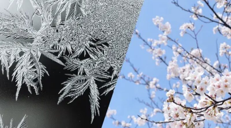 Похолодання накриє Україну: у яких областях чекати нічних заморозків