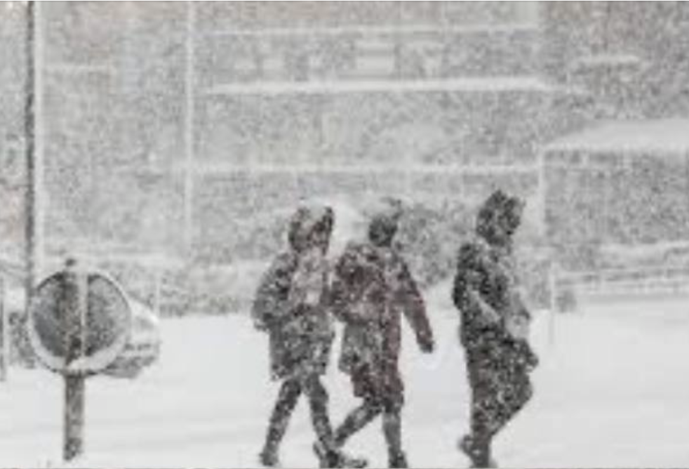 Шалені заморозки, сніг та дощі: синоптики попередили👇👇