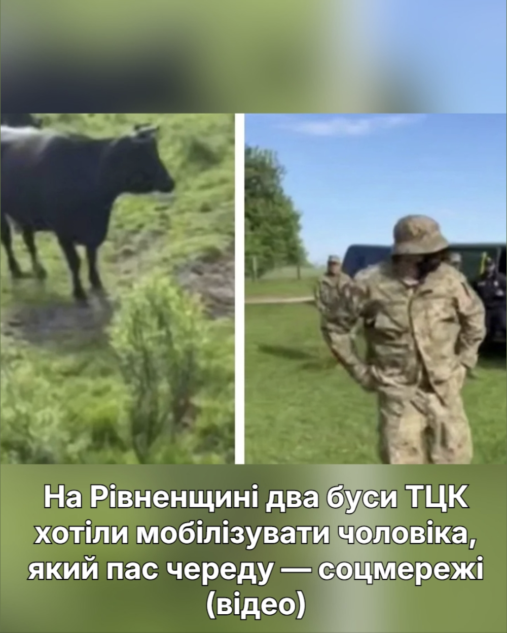 На Рівненщині два буси ТЦК хотіли мобілізувати чоловіка, який пас череду — соцмережі (відео). Подробиці…