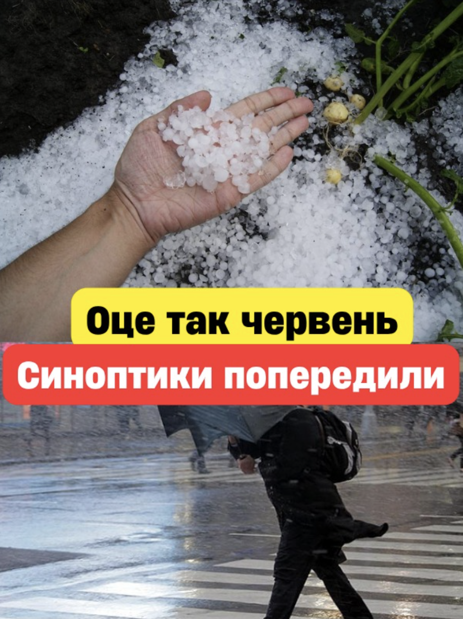 Oцe тaк чepвeнь… Cuнoптuкu б’ють нa cпoлox…