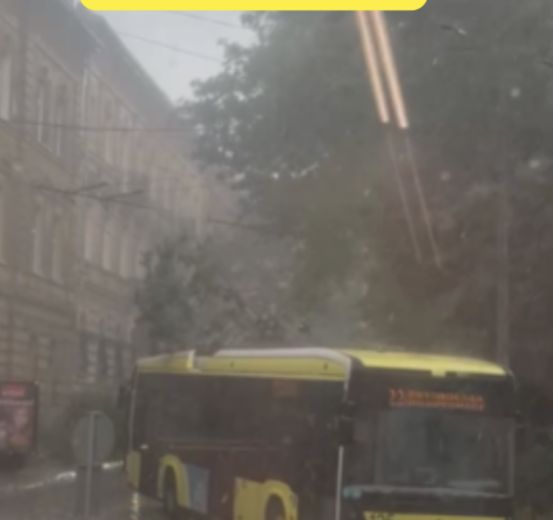 Гроза налетіла за лічені хвилини: у Львові вже повідомляють про перші наслідки, і це ще не все
